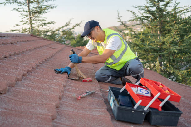 Best Metal Roofing Contractor  in Half Moon, NC